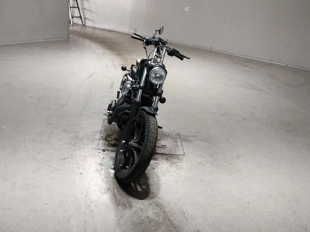 Harley-Davidson XL883N 2018, чёрный, фото 3