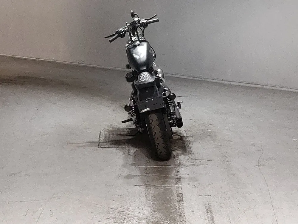 Harley-Davidson XL883N 2018, чёрный, фото 4