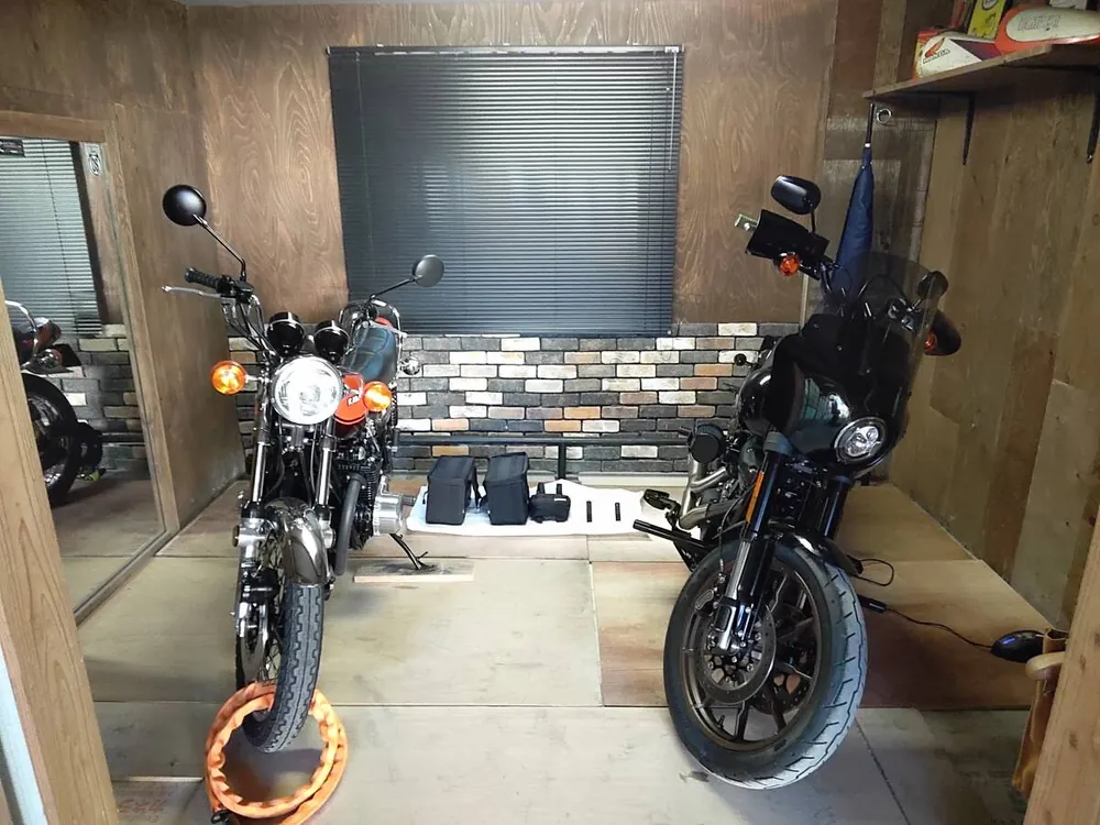 Harley-Davidson FXLRS 2022, фото 2