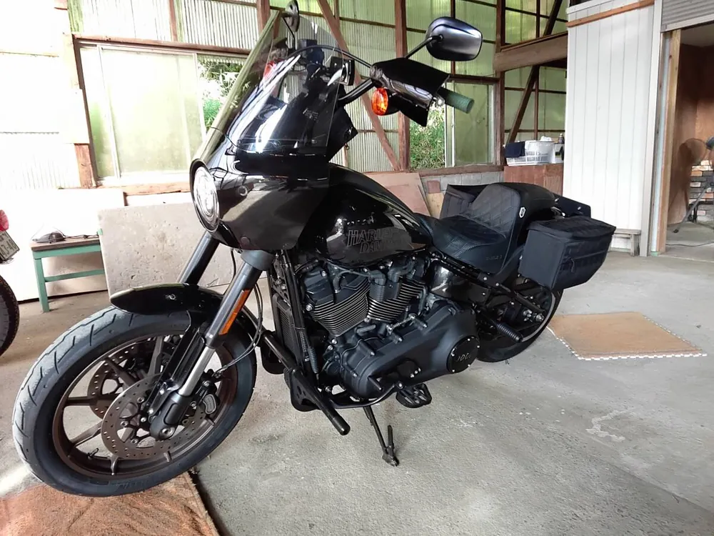 Harley-Davidson FXLRS 2022, фото 4