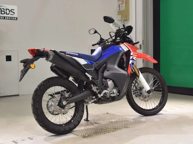 Honda CRF250 Rally, белый, красный, чёрный, фото 5