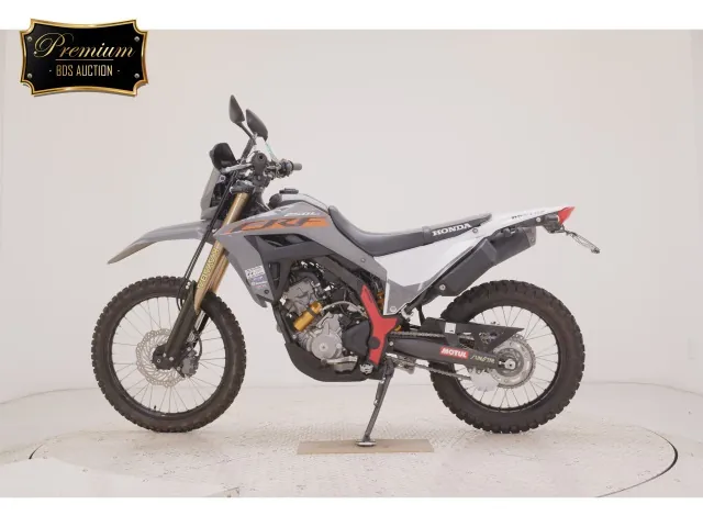 Honda CRF250 Rally, black | gray, фото 2