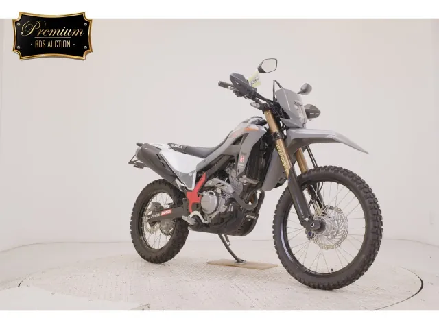 Honda CRF250 Rally, black | gray, фото 3