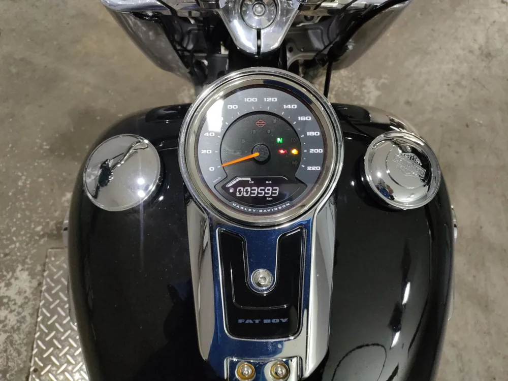 Harley-Davidson FLFBS1870 2021, чёрный, фото 5