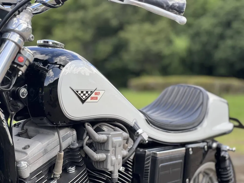 Harley-Davidson XL1200S 2003, фото 7