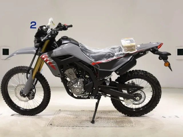 Honda CRF250 Rally, серый, фото 2