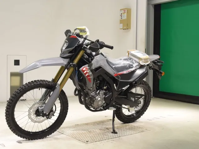 Honda CRF250 Rally, серый, фото 4