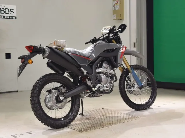 Honda CRF250 Rally, серый, фото 5