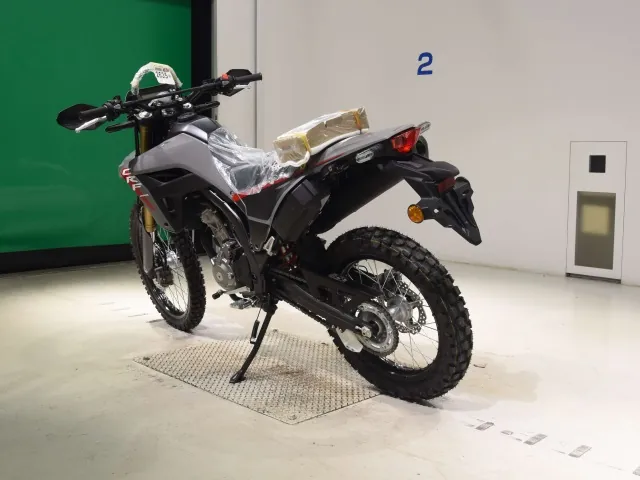 Honda CRF250 Rally, серый, фото 6