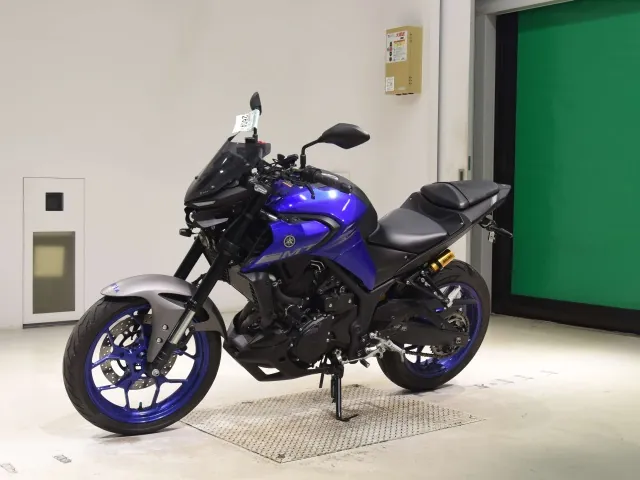 Yamaha MT-25 RG43J, синий, фото 4