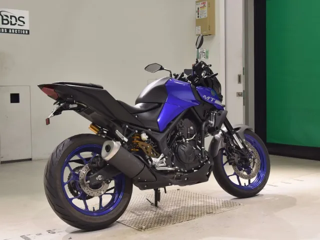 Yamaha MT-25 RG43J, синий, фото 5
