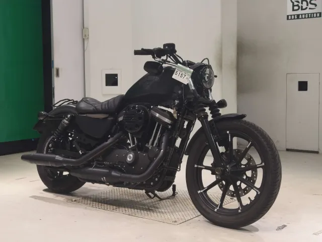 Harley-Davidson XL883N 2017, matt black, фото 3