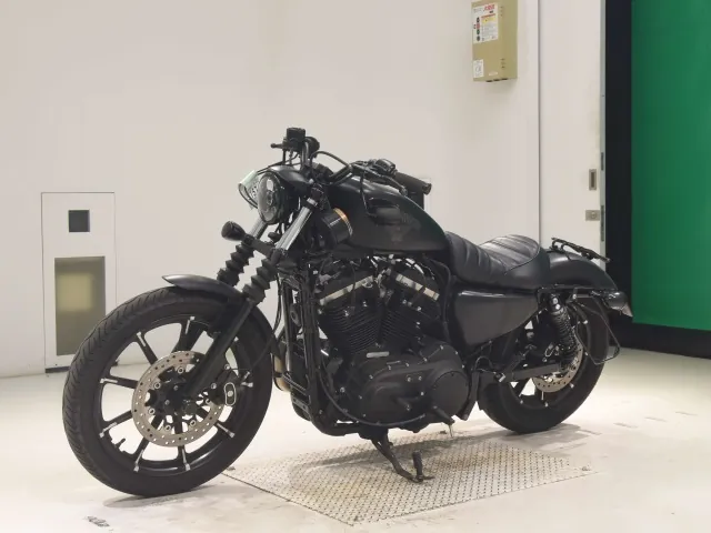Harley-Davidson XL883N 2017, matt black, фото 4