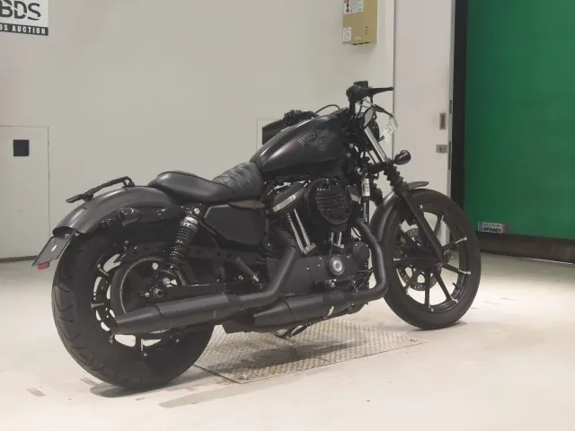 Harley-Davidson XL883N 2017, matt black, фото 5
