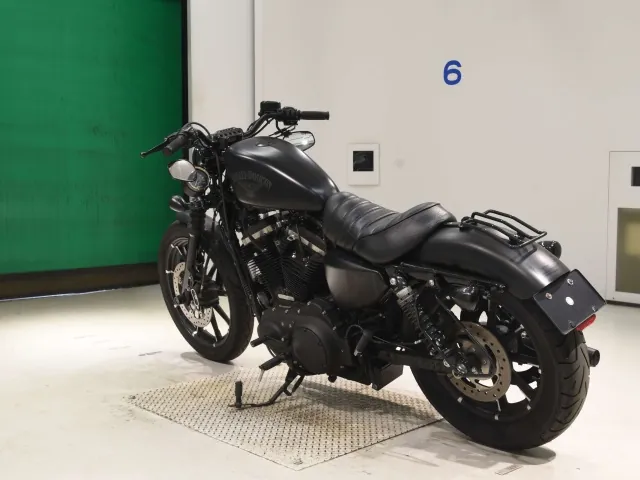 Harley-Davidson XL883N 2017, matt black, фото 6