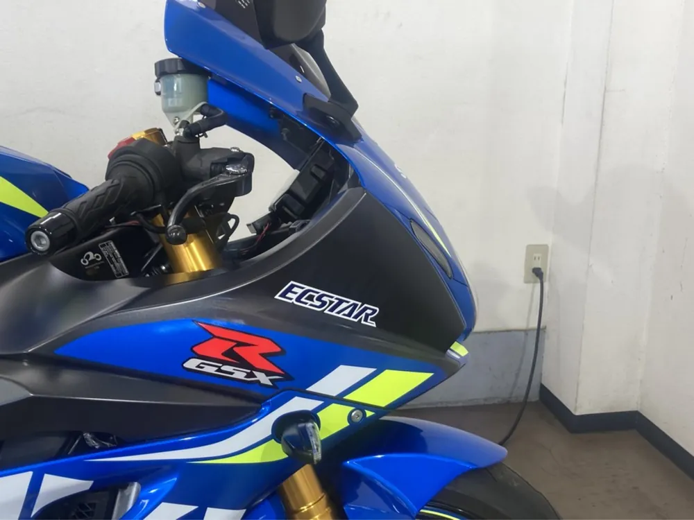 Suzuki GSX-R1000R 2018, синий, фото 18