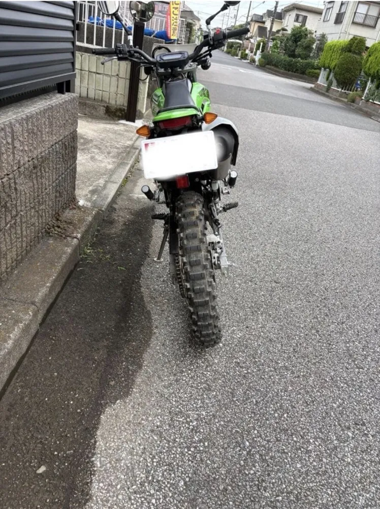 Kawasaki KLX230 2020, фото 2
