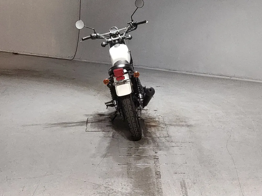 Kawasaki 250TR BJ250F, белый, фото 4