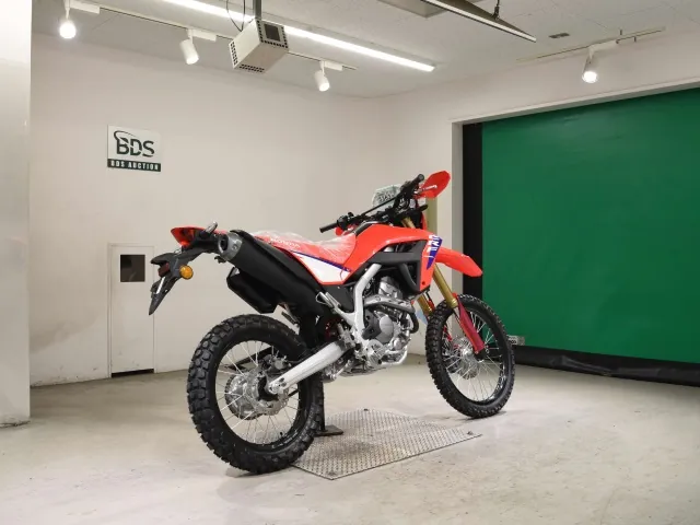 Honda CRF250 Rally, white | red | blue, фото 5