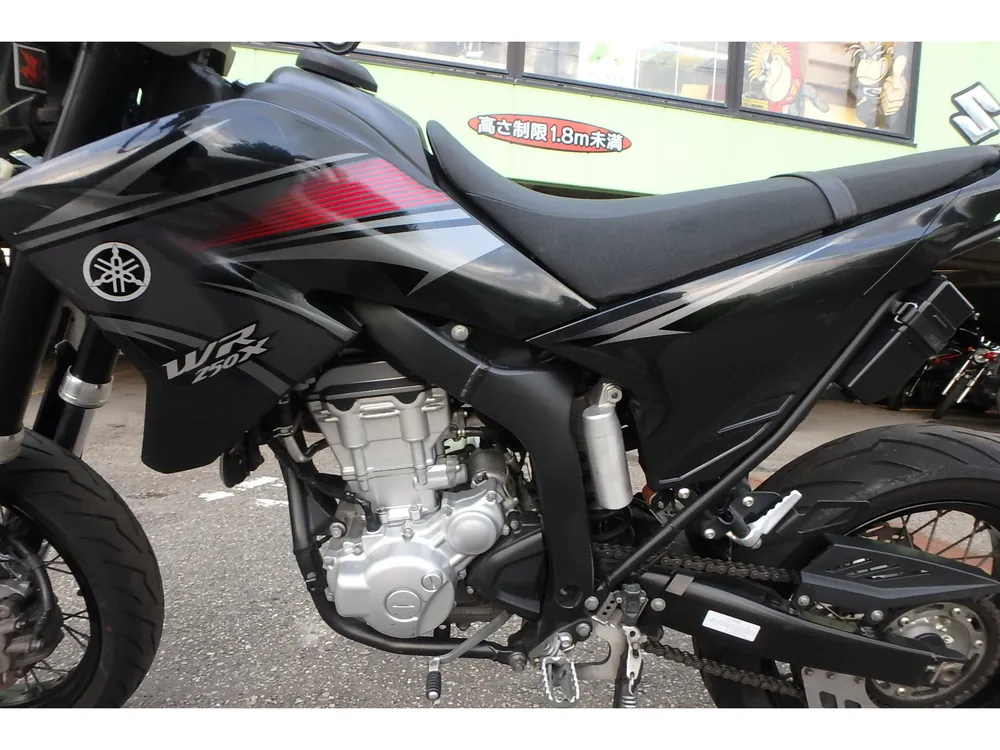 Yamaha WR250R, чёрный, фото 14