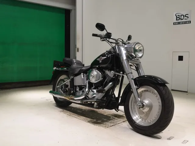 Harley-Davidson FLSTF 1450 2006, чёрный, фото 3