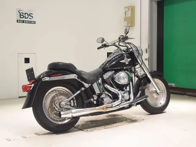 Harley-Davidson FLSTF 1450 2006, чёрный, фото 5