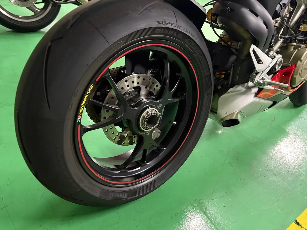 Ducati Paniga-Rev4S 2019, красный, фото 9