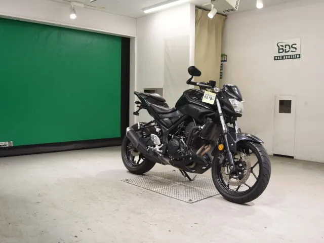 Yamaha YZF-R25, чёрный, фото 3