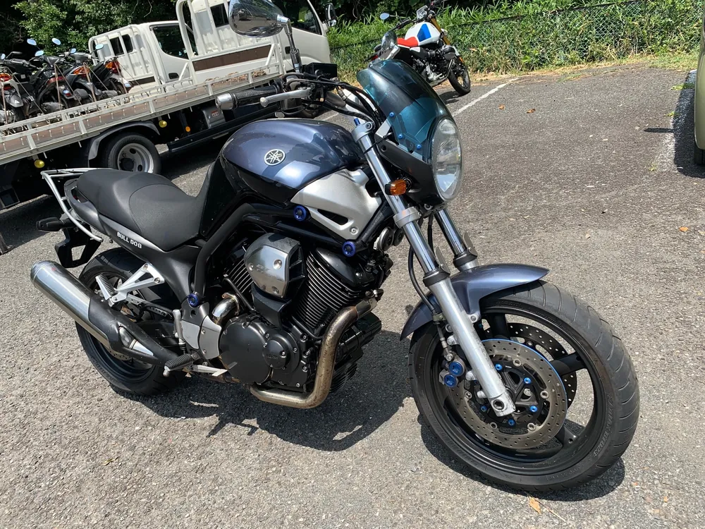 Yamaha BT1100BURUDOKKU 2007, синий, фото 2
