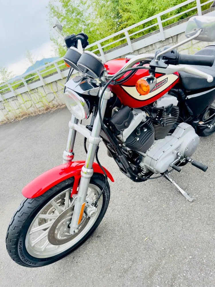 Harley-Davidson XL1200R Sportster Roadster 2004, фото 10