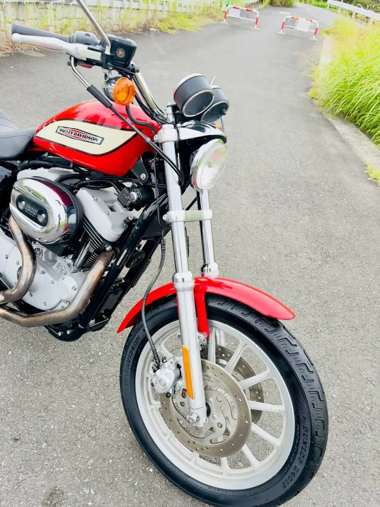 Harley-Davidson XL1200R Sportster Roadster 2004, фото 2