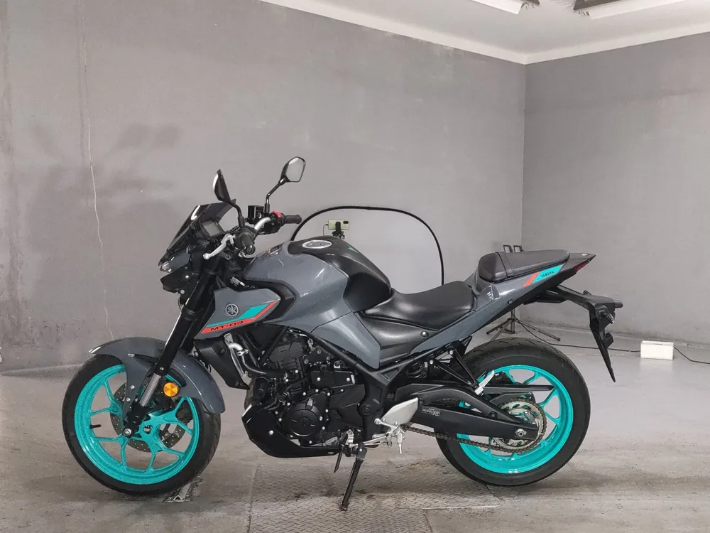 Yamaha Mt-03A 2024, серый, фото 2