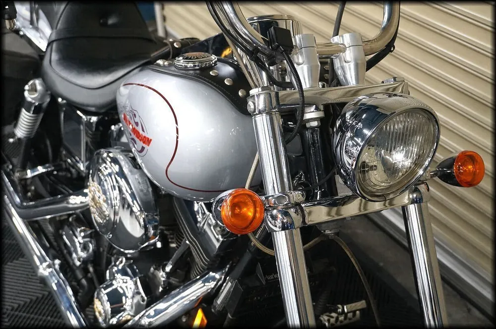 Harley-Davidson FXDWG 1998, фото 5
