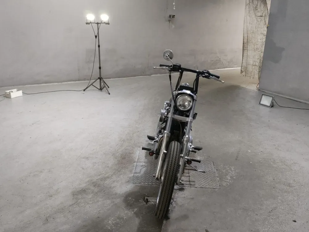 Harley-Davidson XLH883 1999, серый, фото 3