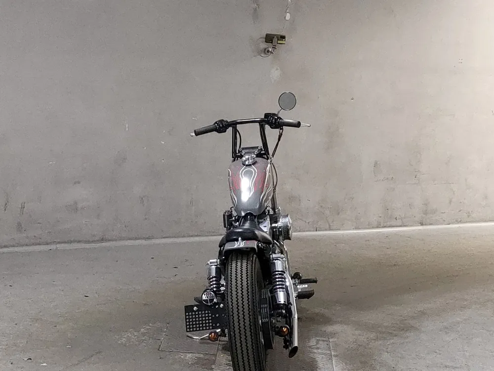Harley-Davidson XLH883 1999, серый, фото 4