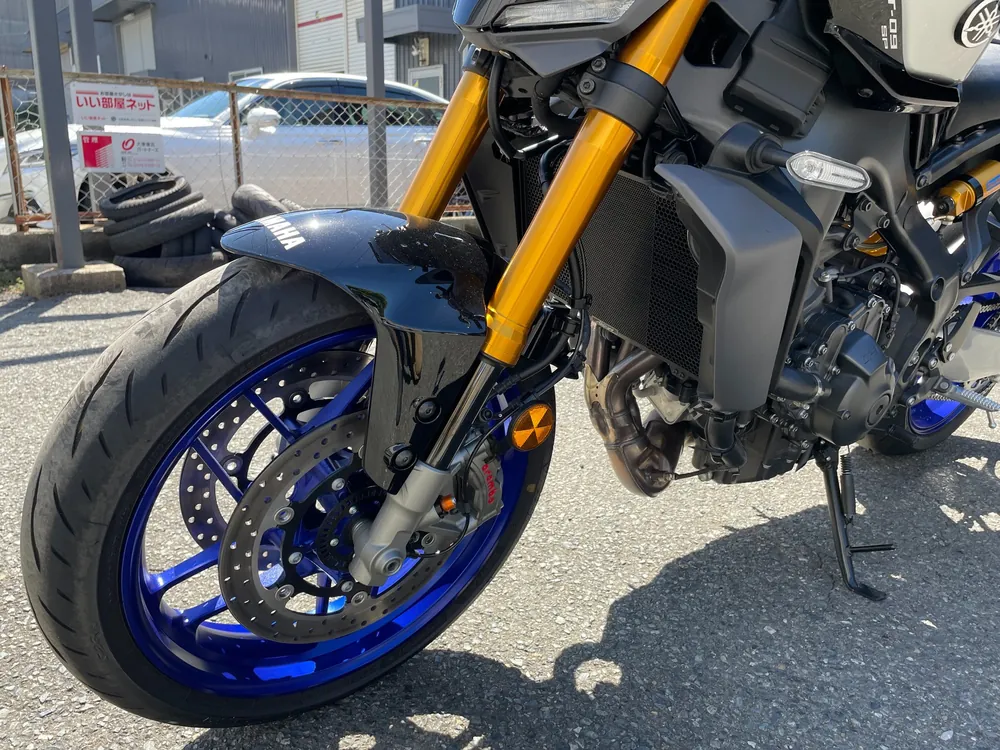 Yamaha Mt-09-2Sp 2025, black/silver, фото 11
