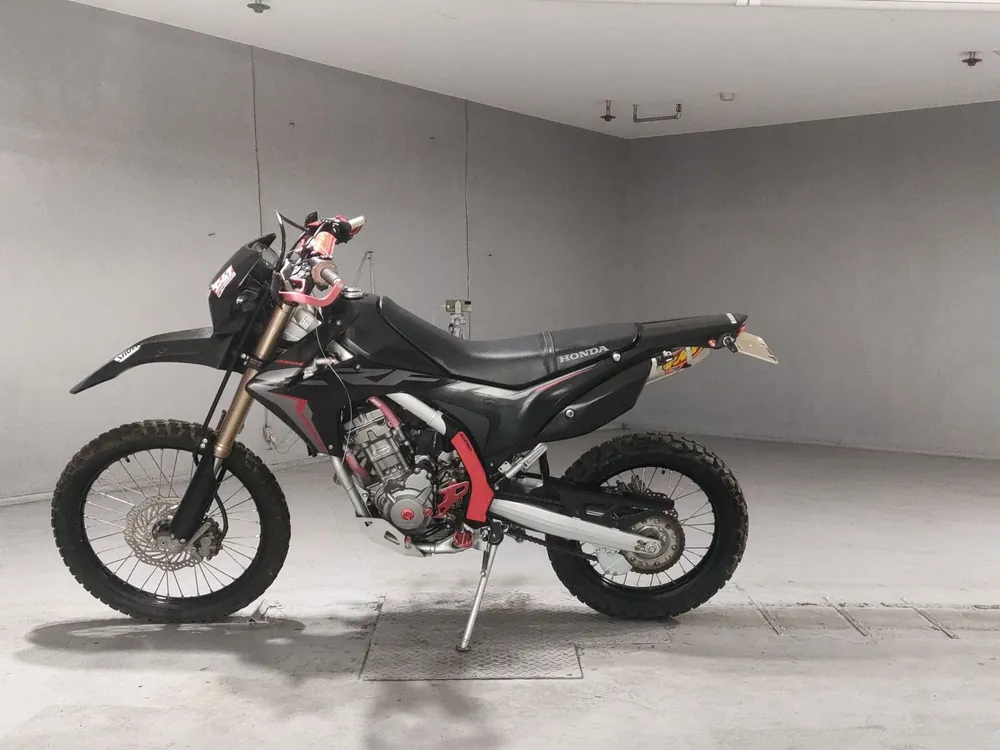 Honda CRF250 Rally, чёрный, фото 2