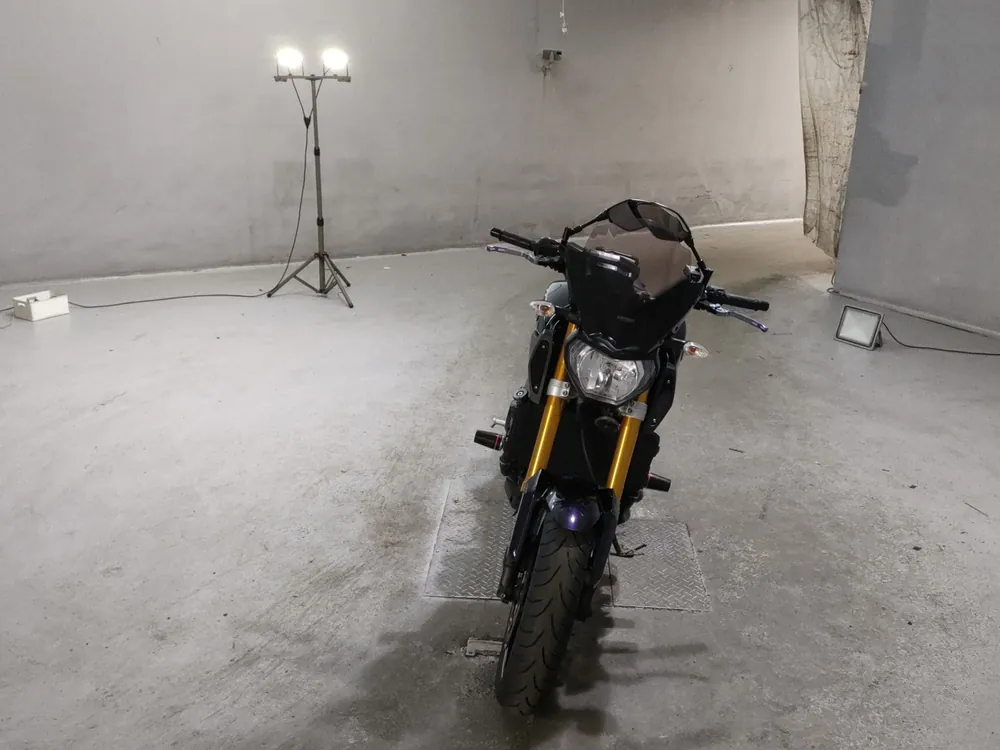 Yamaha MT-09 2015, фото 3