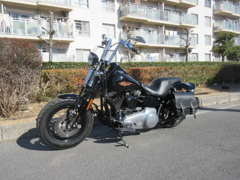 Harley-Davidson Crossbones 2011, фото 8