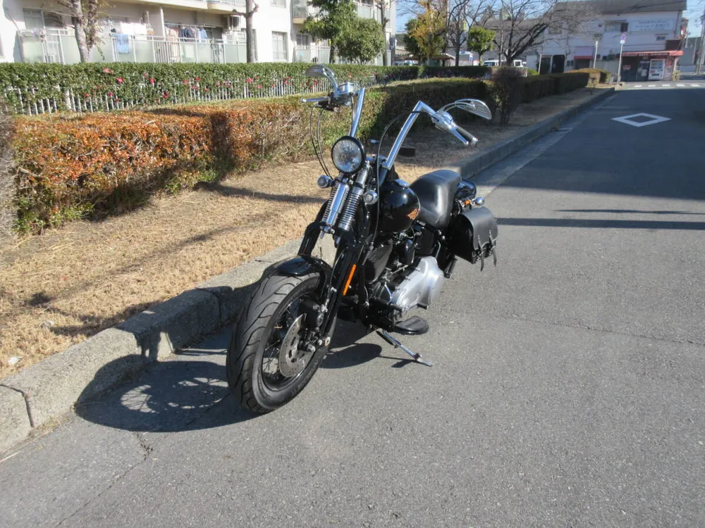 Harley-Davidson Crossbones 2011, фото 9