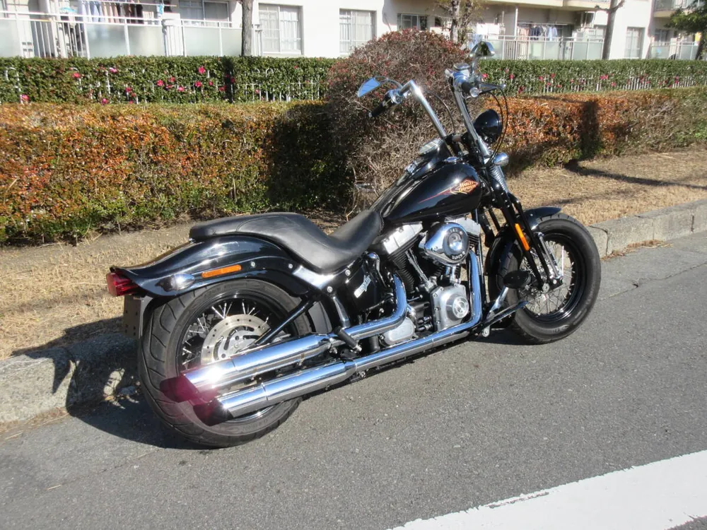 Harley-Davidson Crossbones 2011, фото 3