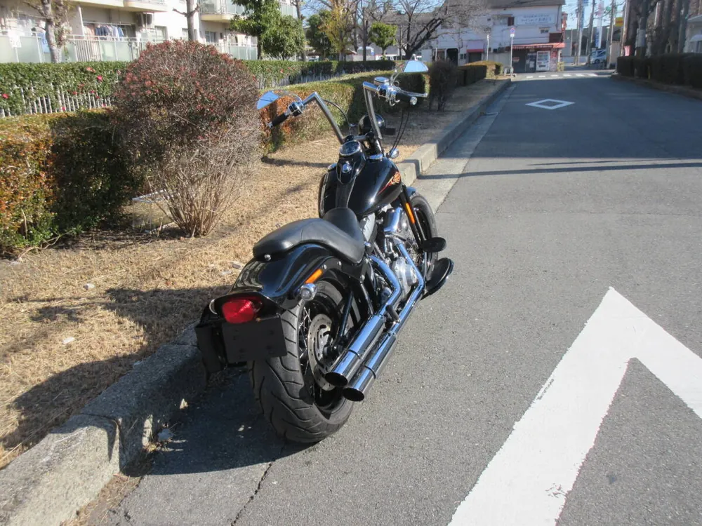 Harley-Davidson Crossbones 2011, фото 4