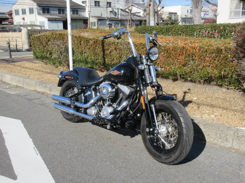 Harley-Davidson Crossbones 2011, фото 5