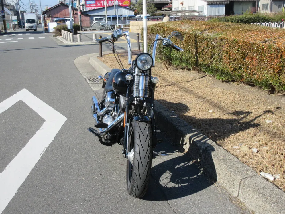 Harley-Davidson Crossbones 2011, фото 6