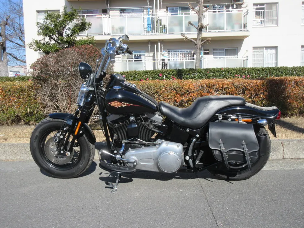 Harley-Davidson Crossbones 2011, фото 7