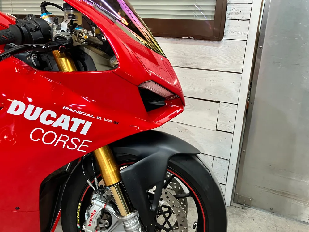 Ducati Paniga-Rev4S 2019, красный, фото 17