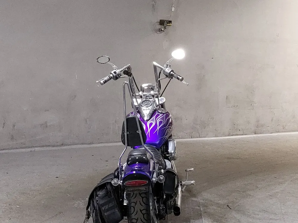 Kawasaki Vulcan 400 Classic 1997, фиолетовый, фото 4
