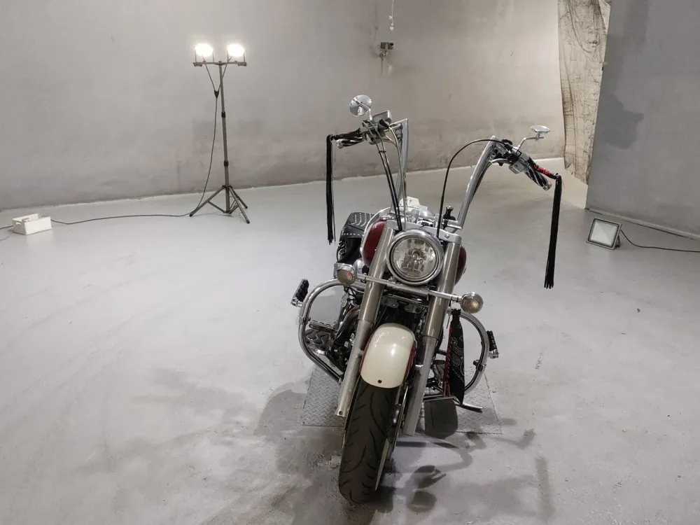 Yamaha XV1600 Roadstar 1999, white / red, фото 3