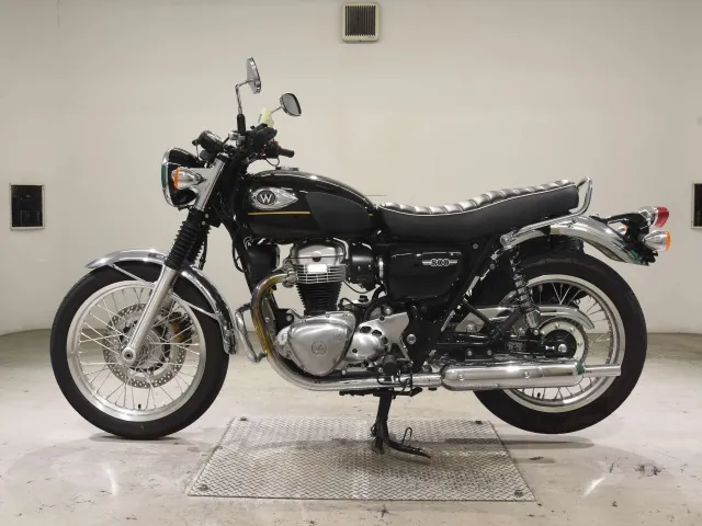 Kawasaki W800-2 2025, чёрный, фото 2