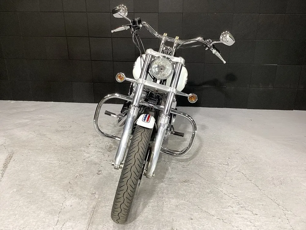 Harley-Davidson FXD 2005, фото 8